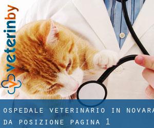 Ospedale Veterinario in Novara da posizione - pagina 1