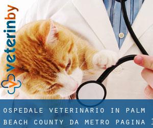 Ospedale Veterinario in Palm Beach County da metro - pagina 1