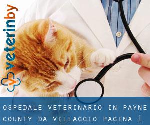Ospedale Veterinario in Payne County da villaggio - pagina 1