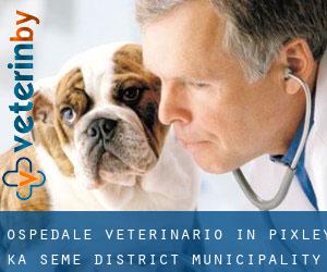 Ospedale Veterinario in Pixley ka Seme District Municipality da capoluogo - pagina 1
