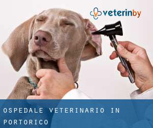 Ospedale Veterinario in Portorico