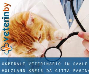 Ospedale Veterinario in Saale-Holzland-Kreis da città - pagina 1