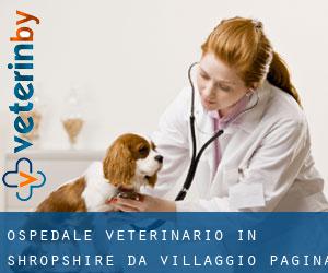 Ospedale Veterinario in Shropshire da villaggio - pagina 1