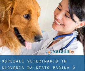 Ospedale Veterinario in Slovenia da Stato - pagina 5