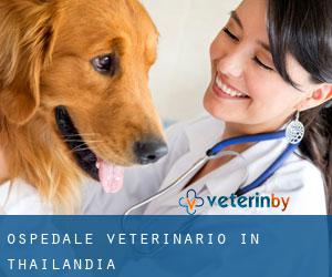Ospedale Veterinario in Thailandia Ospedale Veterinario in Thailandia