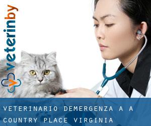 Veterinario d'Emergenza a A Country Place (Virginia)