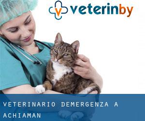 Veterinario d'Emergenza a Achiaman