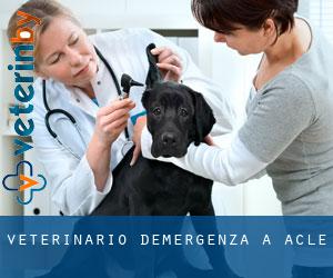 Veterinario d'Emergenza a Acle