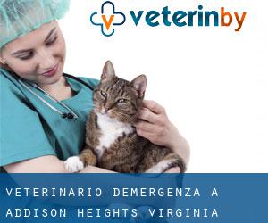 Veterinario d'Emergenza a Addison Heights (Virginia)
