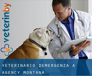 Veterinario d'Emergenza a Agency (Montana)