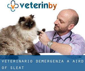 Veterinario d'Emergenza a Aird of Sleat