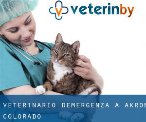 Veterinario d'Emergenza a Akron (Colorado)