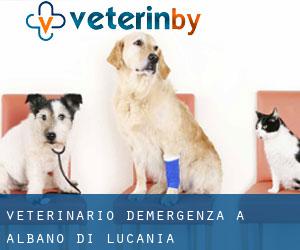 Veterinario d'Emergenza a Albano di Lucania