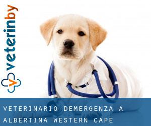 Veterinario d'Emergenza a Albertina (Western Cape)