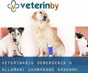 Veterinario d'Emergenza a Allemant (Champagne-Ardenne)