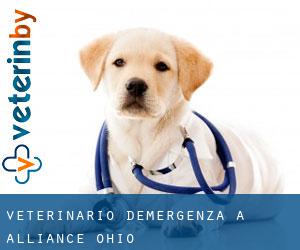 Veterinario d'Emergenza a Alliance (Ohio)