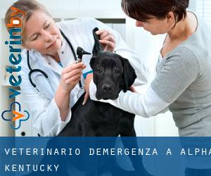 Veterinario d'Emergenza a Alpha (Kentucky)