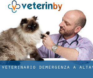 Veterinario d'Emergenza a Altay