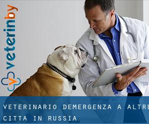 Veterinario d'Emergenza a Altre città in Russia