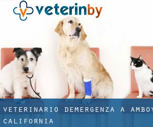 Veterinario d'Emergenza a Amboy (California)