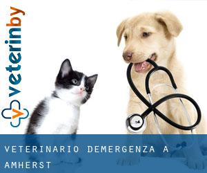 Veterinario d'Emergenza a Amherst