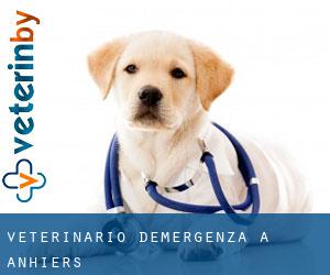 Veterinario d'Emergenza a Anhiers