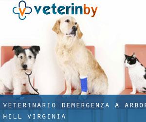 Veterinario d'Emergenza a Arbor Hill (Virginia)