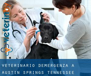 Veterinario d'Emergenza a Austin Springs (Tennessee)
