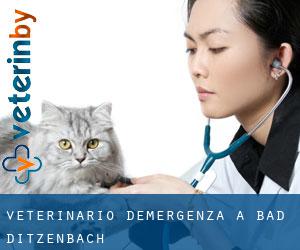 Veterinario d'Emergenza a Bad Ditzenbach