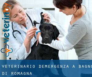 Veterinario d'Emergenza a Bagno di Romagna