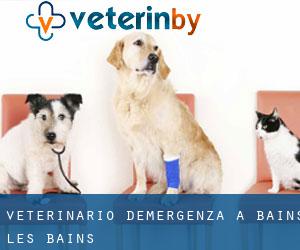 Veterinario d'Emergenza a Bains-les-Bains