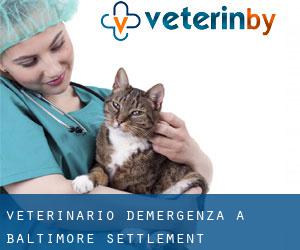 Veterinario d'Emergenza a Baltimore Settlement