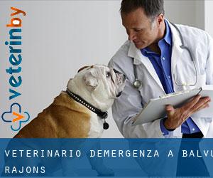 Veterinario d'Emergenza a Balvu Rajons