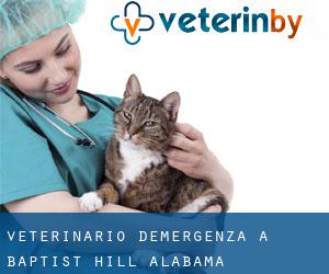Veterinario d'Emergenza a Baptist Hill (Alabama)