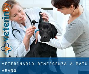 Veterinario d'Emergenza a Batu Arang