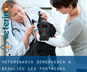 Veterinario d'Emergenza a Beaulieu-les-Fontaines