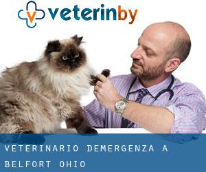 Veterinario d'Emergenza a Belfort (Ohio)