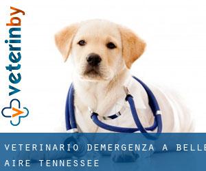 Veterinario d'Emergenza a Belle-Aire (Tennessee)