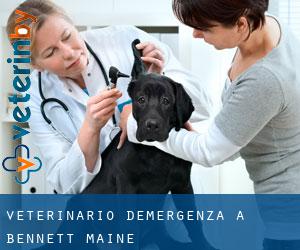 Veterinario d'Emergenza a Bennett (Maine)