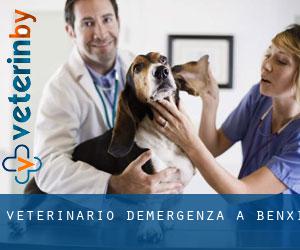 Veterinario d'Emergenza a Benxi