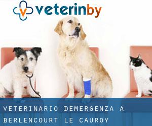 Veterinario d'Emergenza a Berlencourt-le-Cauroy