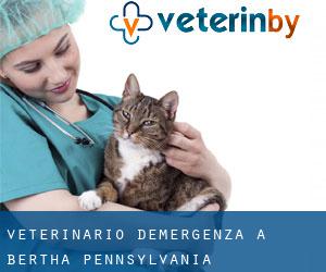 Veterinario d'Emergenza a Bertha (Pennsylvania)