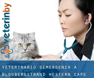 Veterinario d'Emergenza a Bloubergstrand (Western Cape)