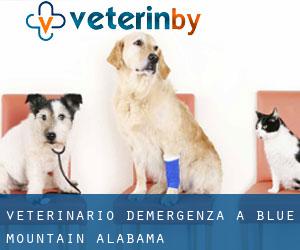 Veterinario d'Emergenza a Blue Mountain (Alabama)