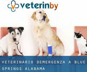Veterinario d'Emergenza a Blue Springs (Alabama)