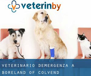 Veterinario d'Emergenza a Boreland of Colvend