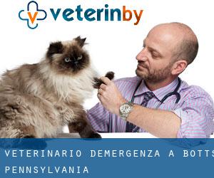 Veterinario d'Emergenza a Botts (Pennsylvania)