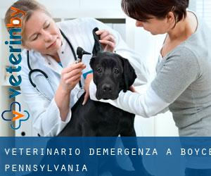 Veterinario d'Emergenza a Boyce (Pennsylvania)