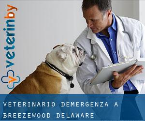 Veterinario d'Emergenza a Breezewood (Delaware)