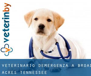 Veterinario d'Emergenza a Broad Acres (Tennessee)